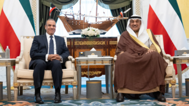 وزير الخارجية: مصر الأكثر تضررا من التصعيد في البحر الأحمر