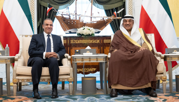 وزير الخارجية: مصر الأكثر تضررا من التصعيد في البحر الأحمر