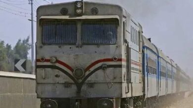مصرع عامل  بسبب سقوطه من قطار بقنا.. «كان رايح شغله »