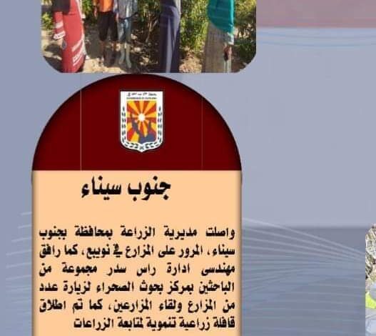 انفوجراف وفيديو| "الزراعة في كل مصر" خلال الفترة من 29 أكتوبر إلى 4نوفمبر الجاري 1 انفوجراف وفيديو| "الزراعة في كل مصر" خلال الفترة من 29 أكتوبر إلى 4نوفمبر الجاري