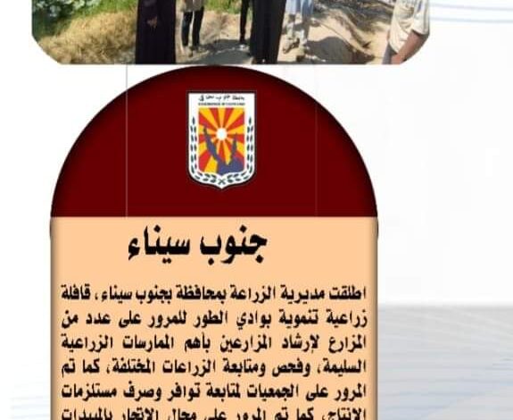 انفوجراف وفيديو| "الزراعة في كل مصر" خلال الفترة من ٥ إلى ١١ نوفمبر الجاري 1 انفوجراف وفيديو| "الزراعة في كل مصر" خلال الفترة من ٥ إلى ١١ نوفمبر الجاري