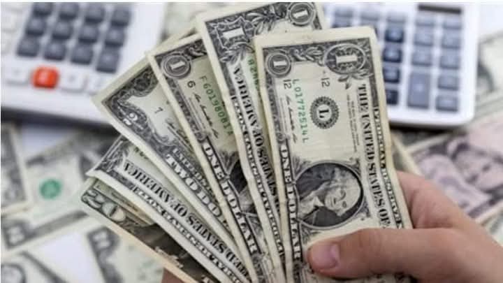 أسعار الدولار اليوم الاثنين 25 نوفمبر 2024 