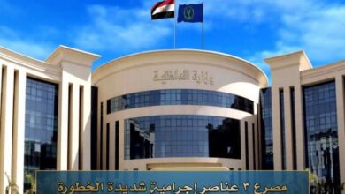 مصرع 3 عناصر إجرامية محكوم عليهم بالمؤبد بالشرقية بعد تبادل إطلاق النار مع الشرطة