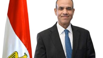 عاجل..وزير الخارجية: نرفض أى عدوان على أي دولة عربية