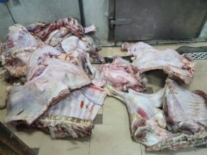 ضبط 13 طن لحوم غير صالحة للاستهلاك الآدمي في حملات للطب البيطري في أسوان