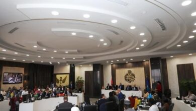 رئيس هيئة تنمية الصعيد يشارك في فعاليات الاحتفال باليوم العالمي للتصنيع الأفريقي بمحافظة أسوان