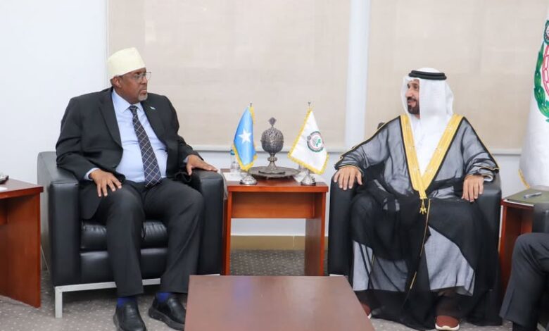 البرلمان العربي حريص على تعزيز التعاون مع الصومال ويدعم جهودها في تحقيق الأمن والتنمية 1 البرلمان العربي حريص على تعزيز التعاون مع الصومال ويدعم جهودها في تحقيق الأمن والتنمية