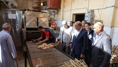 محافظ المنيا يقود حملة تفتيشية على مخابز ملوي لضبط منظومة الخبز
