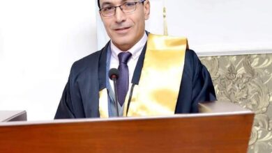 آليات السرد القصصي بين الشاعرية والصراع في نص (طفلتهم) للكاتبة الصحفية فيفي سعيد بقلم د. سيد فاروق