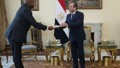 الرئيس السيسي: مستعدون لتوسيع نطاق التعاون مع الكونغو الديمقراطية