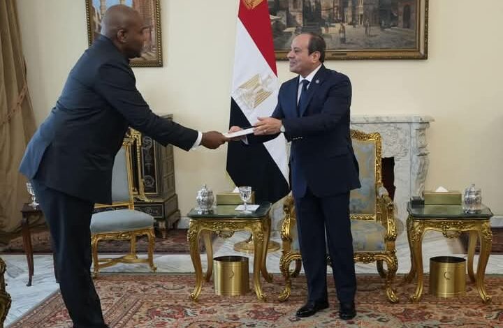 الرئيس السيسي: مستعدون لتوسيع نطاق التعاون مع الكونغو الديمقراطية