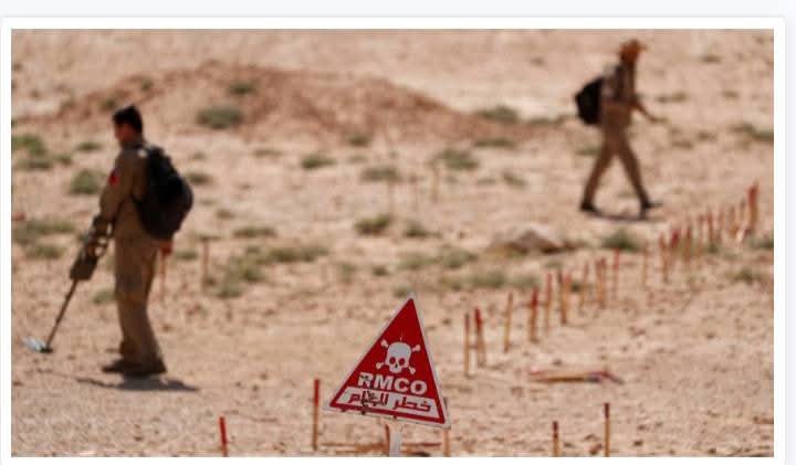 الأمم المتحدة تحذر من مخاطر الذخائر المتفجرة فى سوريا 1 الأمم المتحدة تحذر من مخاطر الذخائر المتفجرة فى سوريا