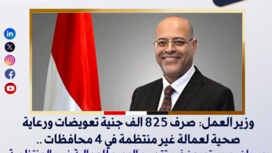 وزير العمل: صرف 825 الف جنية تعويضات ورعاية صحية لعمالة غير منتظمة 