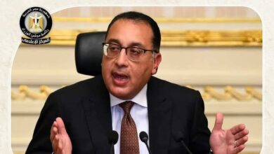 رئيس الوزراء ووزير الكهرباء يصلان إلى أسوان لافتتاح محطة أبيدوس 