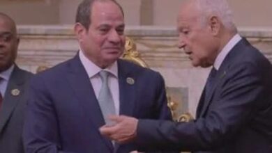 الرئيس السيسى يستقبل القادة المشاركين فى قمة مجموعة الثمانى النامية