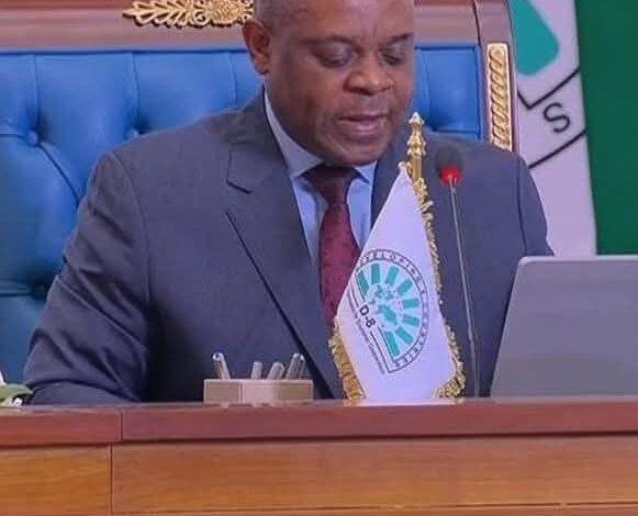 سكرتير عام "الثماني_النامية" بذلنا جهودا لتمكين الشباب وتعزيز التعاون مع الدول الأعضاء 1 سكرتير عام "الثماني_النامية" بذلنا جهودا لتمكين الشباب وتعزيز التعاون مع الدول الأعضاء