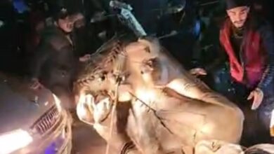 حشود في حماة تسقط تمثال حافظ الأسد