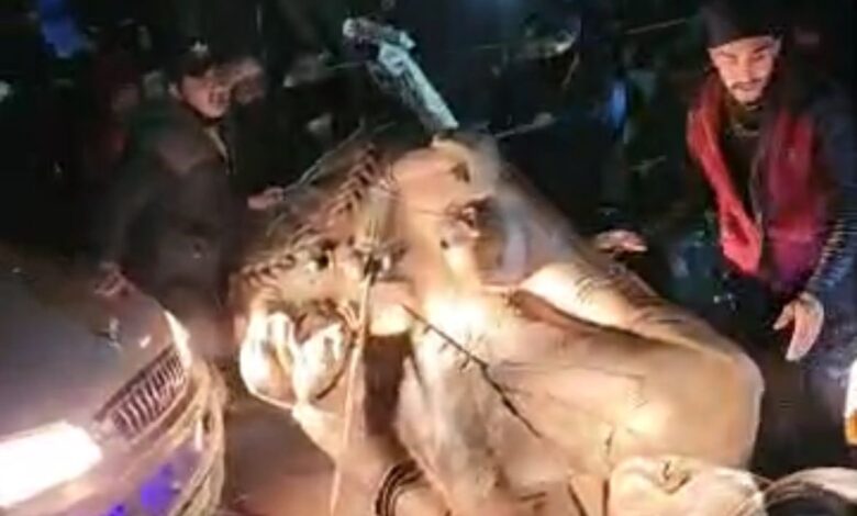 حشود في حماة تسقط تمثال حافظ الأسد 1 حشود في حماة تسقط تمثال حافظ الأسد