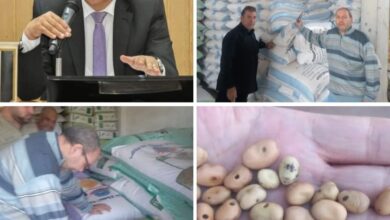 ضبط 6 طن مواد غذائية مجهولة المصدر خلال حملات تفتيشية ببلبيس