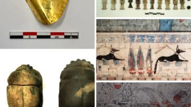الكشف عن مجموعة من الألسنة والأظافر الذهبية لمومياوات داخل مقابر من العصر البطلمي بالمنيا 