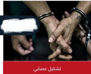 السرقة علي عتبه المنزل ... تفاصيل سرقة أسرة ببورسعيد 2 السرقة علي عتبه المنزل ... تفاصيل سرقة أسرة ببورسعيد