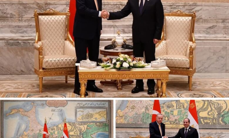 الرئيس السيسى يلتقى الرئيس التركي " أردوغان "على هامش قمة الدول الثماني