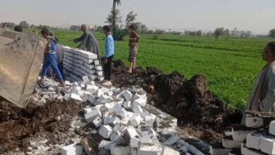 محافظ المنيا: إزالة 162 حالة تعدٍ ضمن المرحلة الثالثة للموجة 24