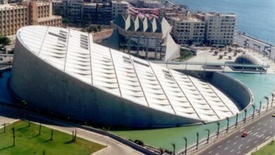 مدير مختبر السرديات بمكتبة الإسكندرية: نظمنا 65 فعالية خلال 2024