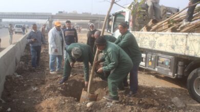 محافظ القاهرة يؤكد اعتماد خطة لتشجير الطريق الدائري بالمحافظة
