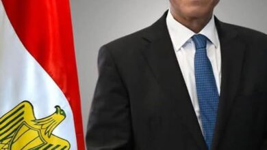 وزير الخارجية والهجرة يبحث هاتفيا مع نظيرة الفرنسي سبل تعزيز العلاقات وتبادل الرؤى