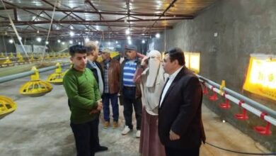 زراعة شمال سيناء: جولات ميدانية مكثفة لتوثيق عمليات الحصر السنوي لأنشطة الأمن الغذائي
