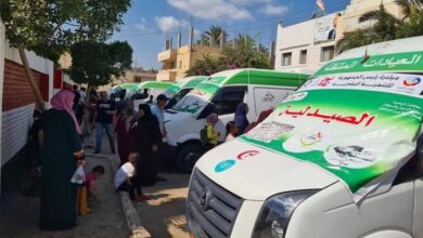 الصحة» تطلق 137 قافلة طبية مجانية في أول شهر من عام 2025 1 الصحة» تطلق 137 قافلة طبية مجانية في أول شهر من عام 2025