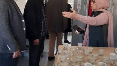 بيان إنجازات حصاد 2024 بصحة الدقهلية