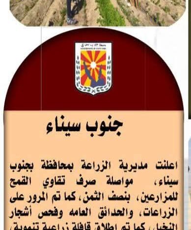 انفوجراف وفيديو| "الزراعة في كل مصر" خلال الفترة من 31 ديسمبر إلى 6 يناير الجاري 1 انفوجراف وفيديو| "الزراعة في كل مصر" خلال الفترة من 31 ديسمبر إلى 6 يناير الجاري