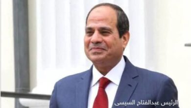 تفاصيل لقاء الرئيس السيسي مع رئيسة البرلمان الأوروبي