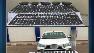 الشرطه المصرية تضبط مخدرات وأسلحة بقيمة 100 مليون جنيه