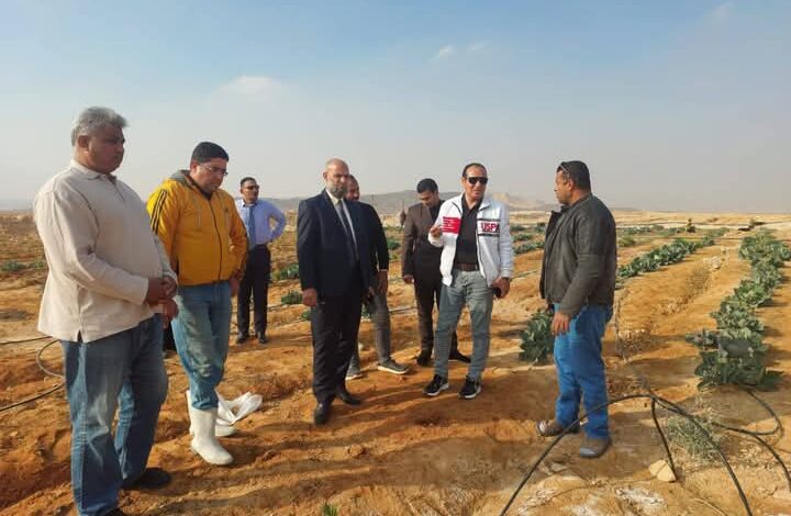مدير مديرية الزراعة بجنوب سيناء يلتقي بالمزارعين بالتجمعات التنموية الجديدة 1 مدير مديرية الزراعة بجنوب سيناء يلتقي بالمزارعين بالتجمعات التنموية الجديدة
