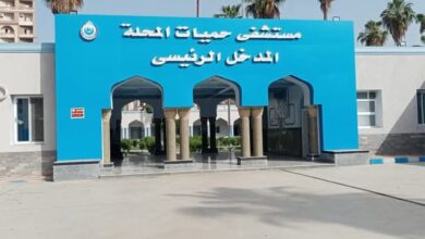 الصحة : تقديم أكثر من 9 مليون خدمة طبية بالمنشأت الصحية بمحافظة الغربية خلال عام 2024