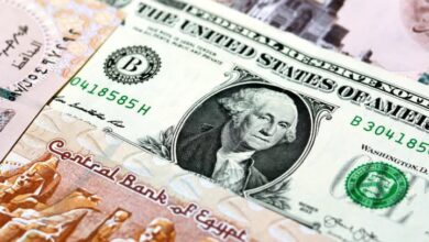 سعر الدولار مقابل الجنيه المصري اليوم