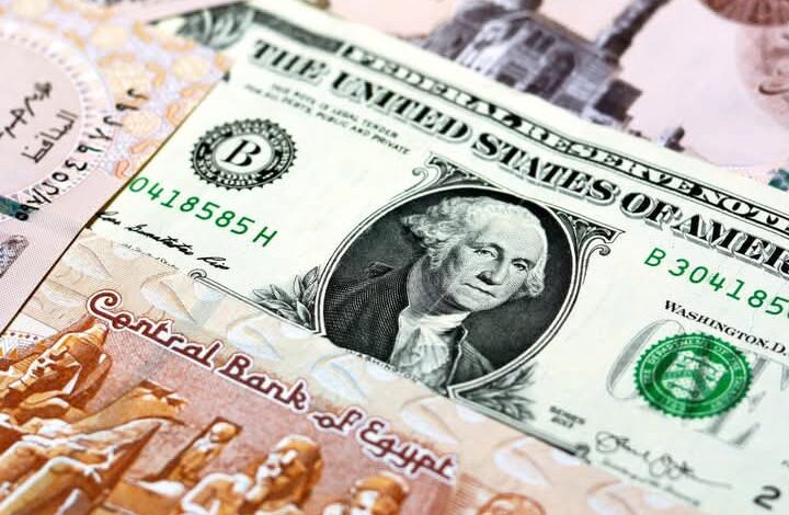 سعر الدولار مقابل الجنيه المصري اليوم