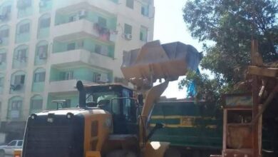 رفع أكثر من 500 طن بـ 3 أيام بنطاق أحياء شرق وجنوب بمدينة أسوان