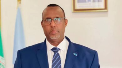 سفير الصومال يتطلع لنجاحه في دعم وتعزيز التعاون المصري الصومالي