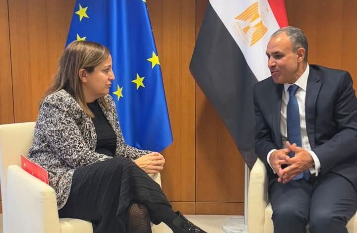وزير الخارجية يلتقى مع رئيسة مجموعة الاشتراكيين والديمقراطيين بالبرلمان الأوروبى