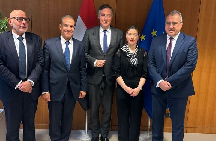 وزير الخارجية: التحديات الخطيرة بالمنطقة تتطلب تعزيز دعم الجانب الأوروبي 1 وزير الخارجية: التحديات الخطيرة بالمنطقة تتطلب تعزيز دعم الجانب الأوروبي