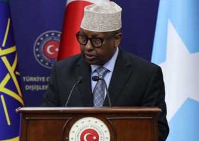 وزير خارجية الصومال: شعبنا يحتاج لوجود القوات المصرية إلى جانبه 1 وزير خارجية الصومال: شعبنا يحتاج لوجود القوات المصرية إلى جانبه