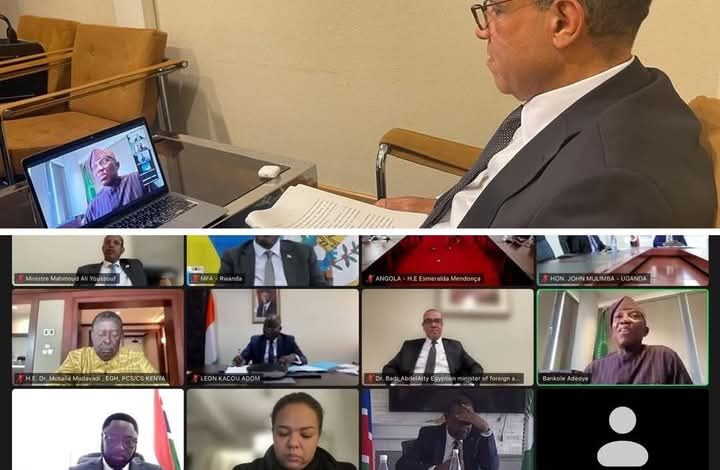 وزير الخارجية: يشارك في الاجتماع الافتراضى الطارئ لمجلس السلم والأمن التابع للاتحاد الإفريقى 