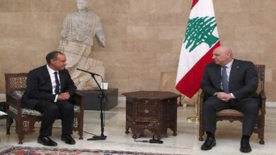 وزير الخارجية ينقل رسالة دعم وتضامن من الرئيس السيسى لنظيره اللبنانى