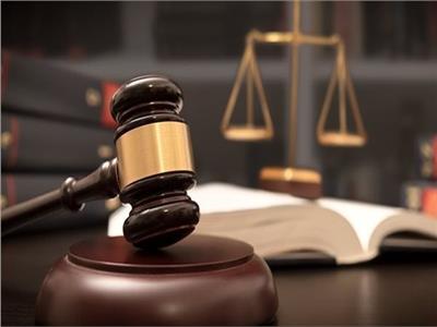براءة “سيدة الساطور” من تهمة الشروع في قتل ضرتها بمحكمة جنايات نجع حمادي 1 براءة “سيدة الساطور” من تهمة الشروع في قتل ضرتها بمحكمة جنايات نجع حمادي