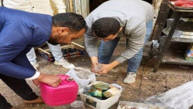  ضبط وإعدام 370 كجم منتجات غذائية منتهية الصلاحية ومجهولة المصدر بأسوان