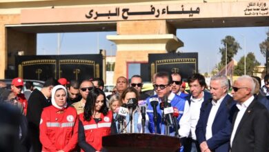 الدكتور خالد عبدالغفار: الدولة المصرية بجميع قطاعاتها حريصة على دعم الأشقاء الفلسطينيين  